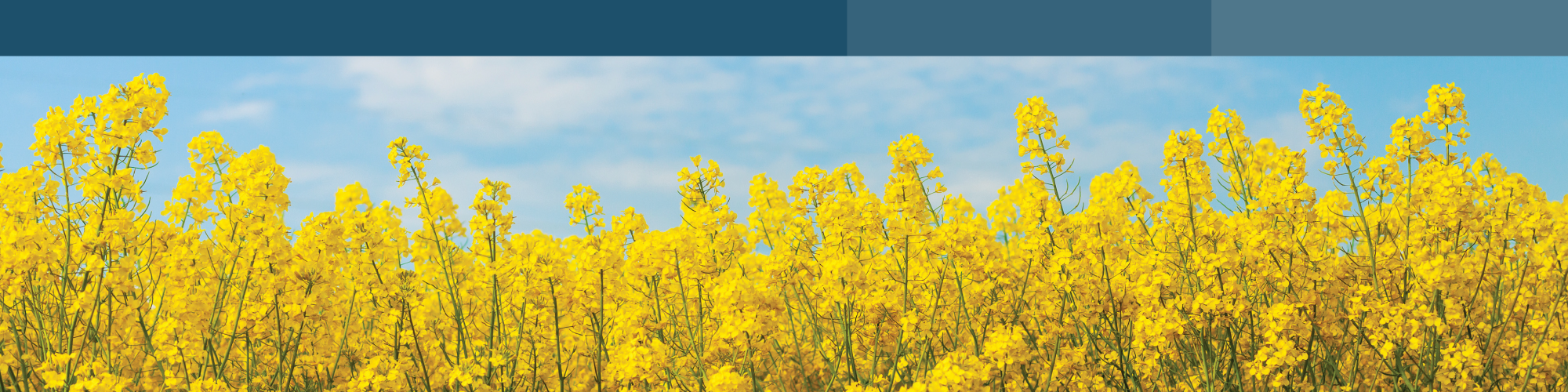 Viterra Rostock GmbH